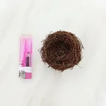 6Cm