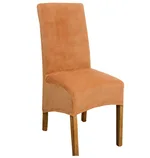 Camel Color