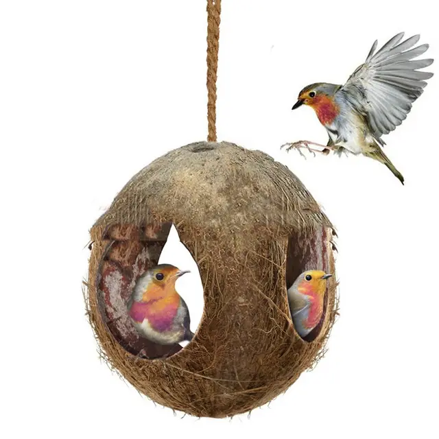 Creative Coconut Shell Bird Nest Feeder Brown - Shop at LoveMi