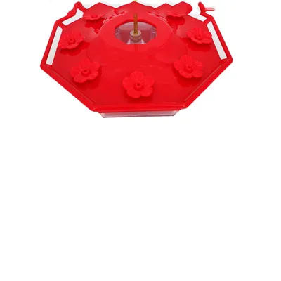 Simple And Creative Home Hummingbird Feeder Red - Shop at LoveMi