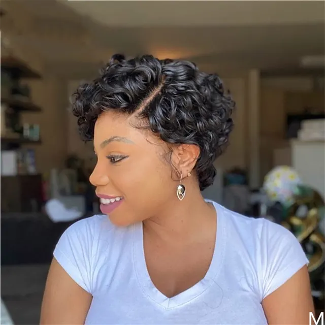 European And American Wig Manufacturers Cross Border Ladies Piece Small Curly Wigs Independent Station Black Small Curly Wigs Black - Shop at LoveMi