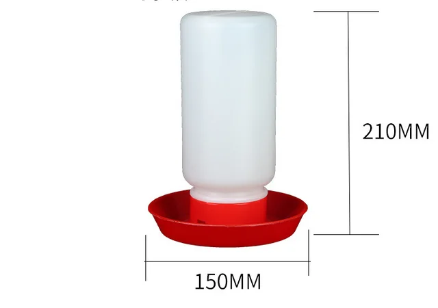 The Bird Feeds The Water Bottle To The Pigeon With A Waterer - Shop at LoveMi