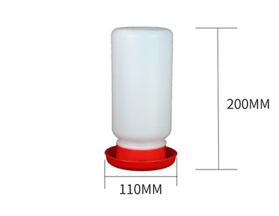 The Bird Feeds The Water Bottle To The Pigeon With A Waterer - Shop at LoveMi