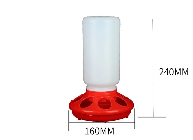 The Bird Feeds The Water Bottle To The Pigeon With A Waterer C - Shop at LoveMi
