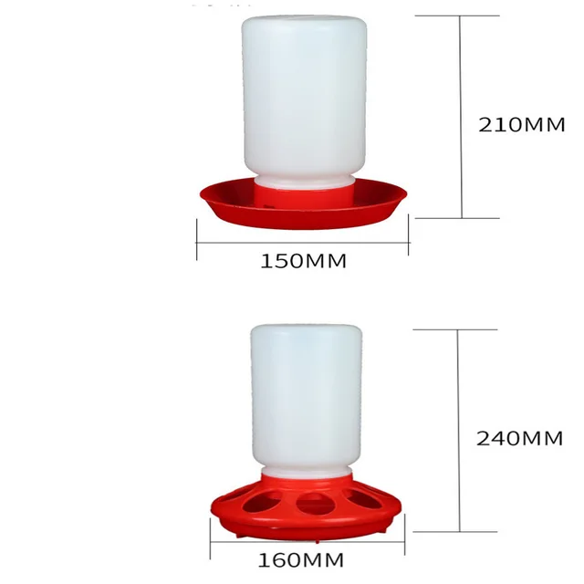 The Bird Feeds The Water Bottle To The Pigeon With A Waterer Set - Shop at LoveMi