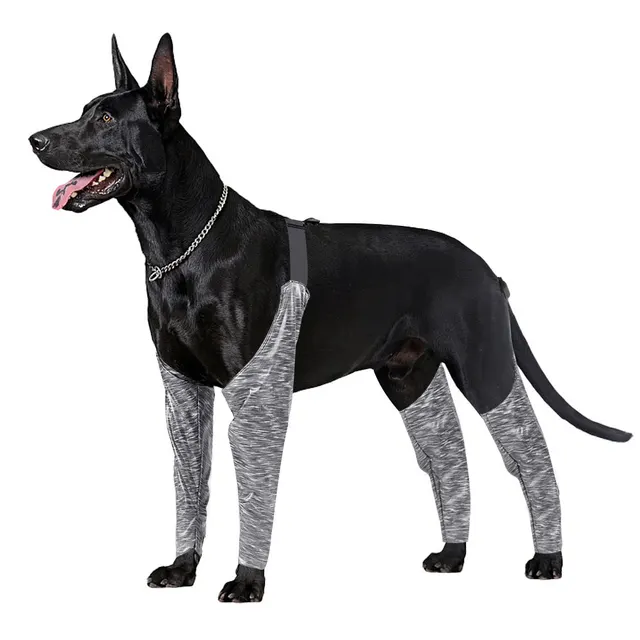 Doughton's New Doggie Outdoor Four Legged Pants Grey - Shop at LoveMi