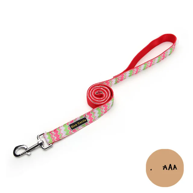 Glow Castle Pet Supplies Foreign Trade Colorful Wave Pattern Nylon Dog Leash Pet Leash - Shop at LoveMi