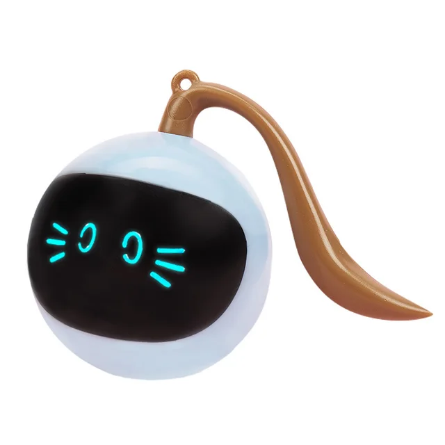 Two Lucky Raccoons Fitness Ball Cat Toy Blue - Shop at LoveMi
