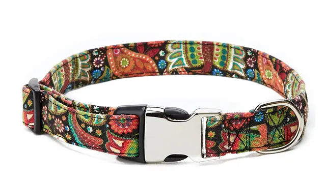 New Products Of Cross border Pet Supplies In 19 Years Colorful Flowers And Birds - Shop at LoveMi