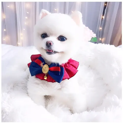 Pet Cat Dog Accessories British Retro Campus Trend Bow Tie Collar Bib Bell Saliva Towel Collar Gold - Shop at LoveMi