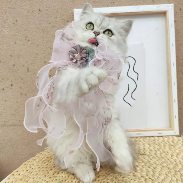 Pet Accessories Cats Dogs Big Bow Puppets Cat Bib Fairy Saliva Towel Collar Bow Tie Adjustable Pink - Shop at LoveMi