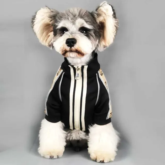 Dog Clothes Spring And Autumn New Sweater Summer Thin - Shop at LoveMi