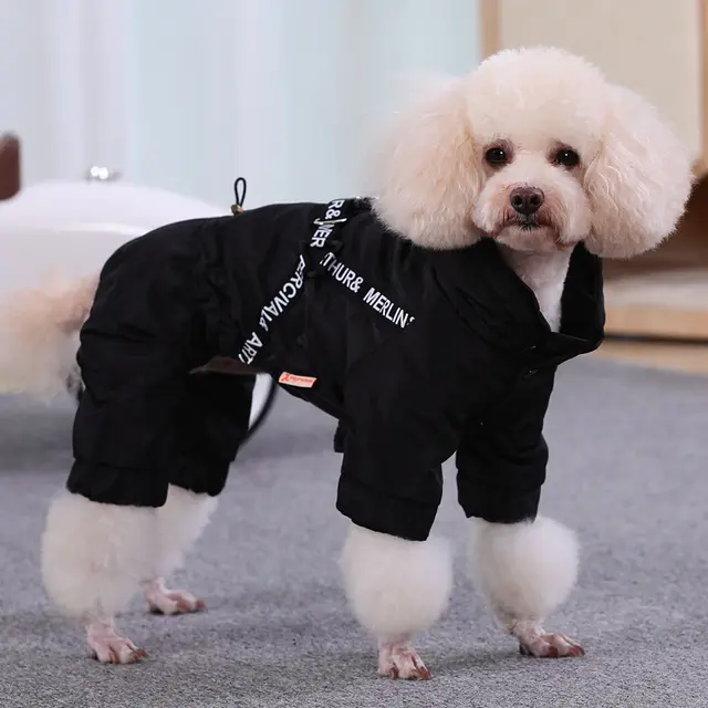 Small Dog Bichon Winter Pet Winter Clothes Four Legged Warm Black Cotton - Shop at LoveMi