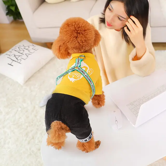 Small Dog Bichon Winter Pet Winter Clothes Four Legged Warm Yellow Cardigan - Shop at LoveMi