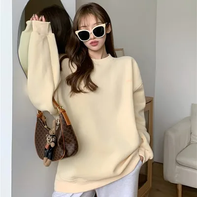 Weiyi Women"s Fashionable Blue Pullover New Korean Loose Chic Style Long Sleeve Top Apricot - Shop at LoveMi