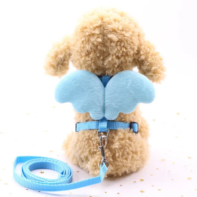 Cute Angel Pet Dog Leashes Blue - Shop at LoveMi