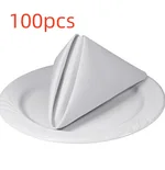 B100Pcs