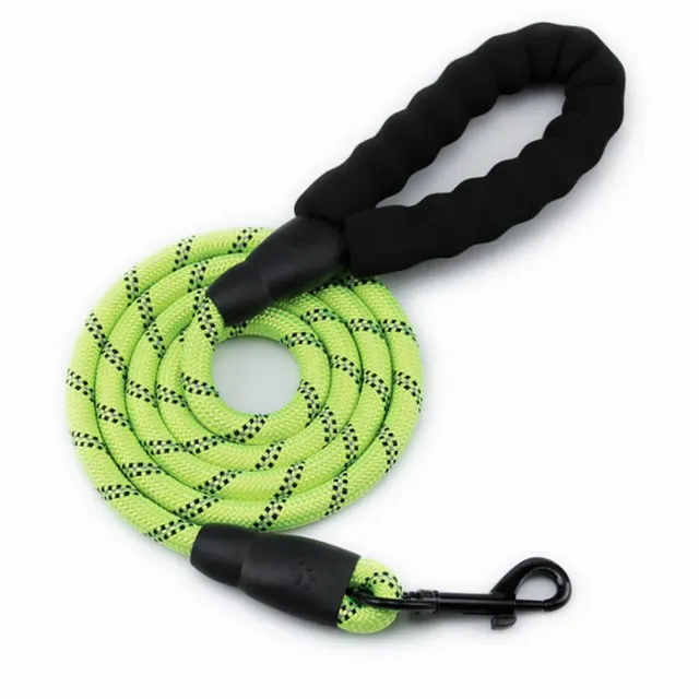 Sponge Pet Reflective Nylon Traction Rope Green - Shop at LoveMi