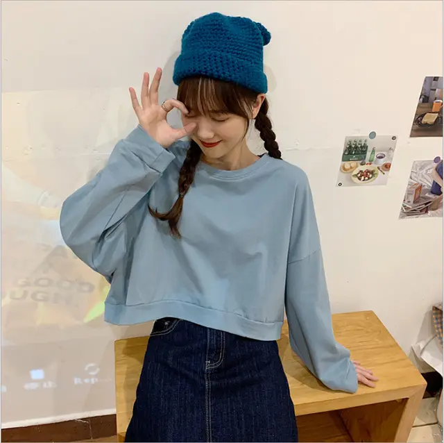Women's Thin Round Neck Long sleeved Sweater Light Blue - Shop at LoveMi