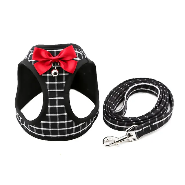 Cat Chain Traction Rope Set, Chest Harness, Cat Harness, Cat Collar, Dog Leash - Shop at LoveMi