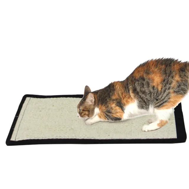 Scratching Blanket Cat Toy Pet Floor Mat Large Scratching Blanket 1Pcs - Shop at LoveMi
