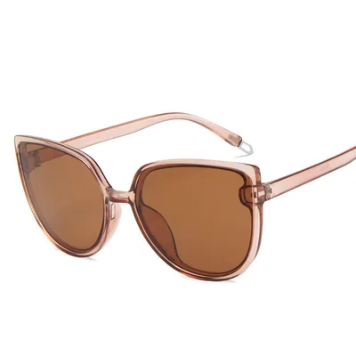 Colorful Sunglasses Men's And Women's Cat Eye Sunglasses Retro Glasses Transparent Tea - Shop at LoveMi