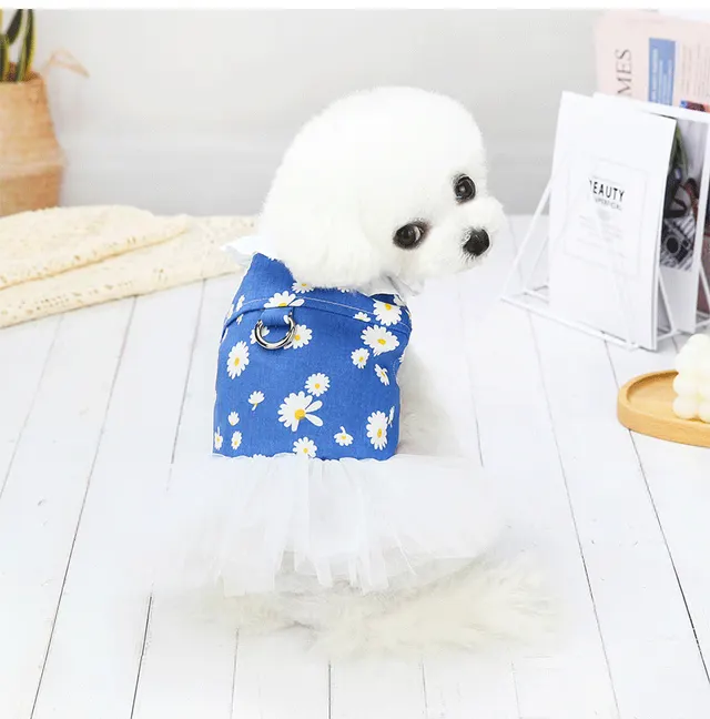 Small Dog Bichon Cute Princess Dress Blue - Shop at LoveMi