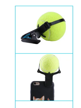 Pet photo props toy pet photo selfie artifact funny dog camera phone clip tennis selfie clip - Green