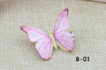 B 01