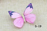 D 19