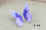 D 24