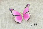 D 25