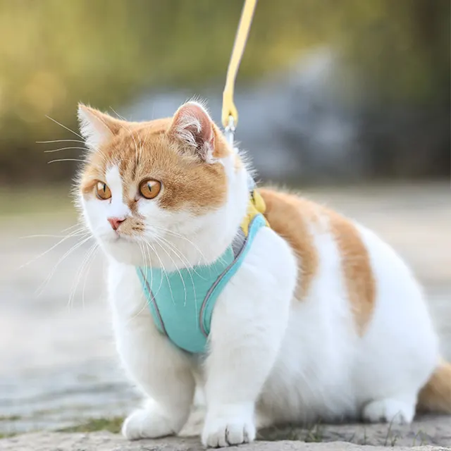 Cat Traction Rope Home Vest Style Chest Harness Cute Anti Stroke Cat Walking Rope Green - Shop at LoveMi