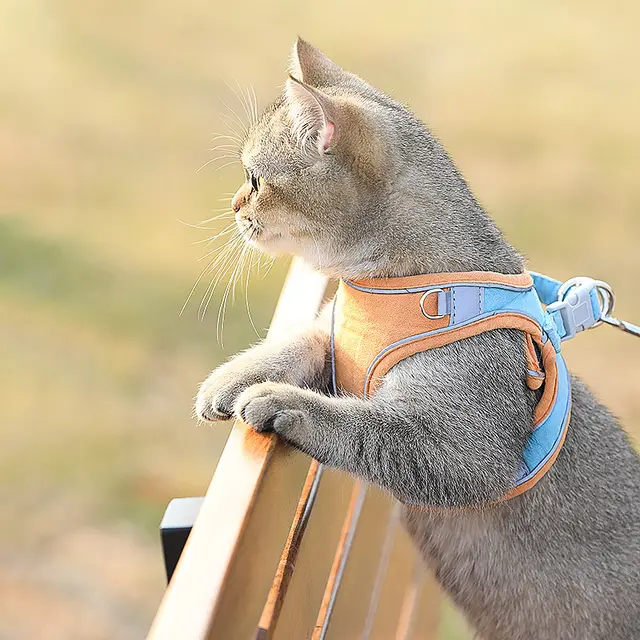 Cat Traction Rope Home Vest Style Chest Harness Cute Anti Stroke Cat Walking Rope Orange - Shop at LoveMi
