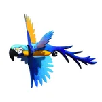 Blue Parrot