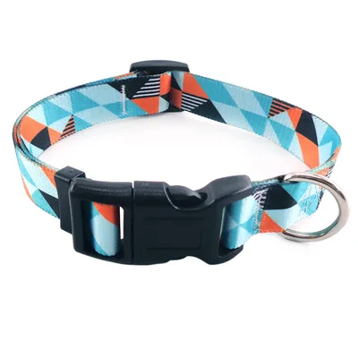 Bright And Novel Multi color Pet With Colorful Dog Leash Little Fresh Geometry - Shop at LoveMi
