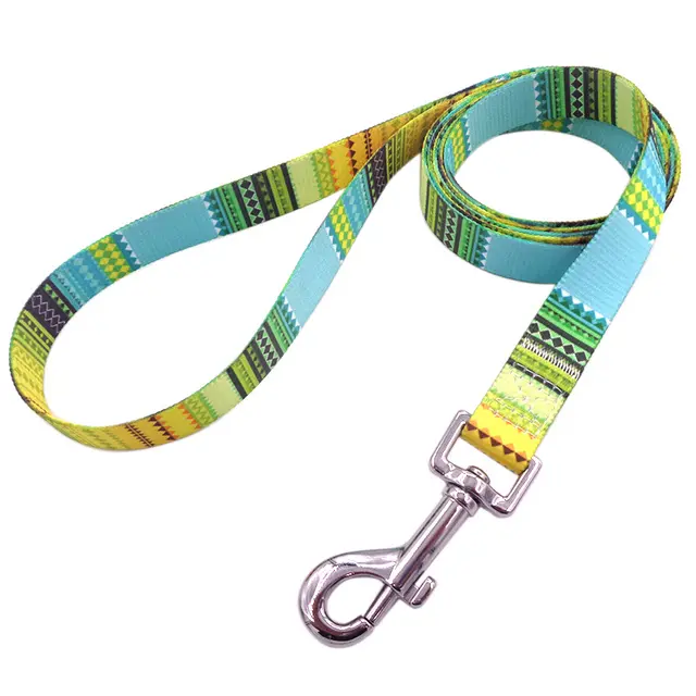 Bright And Novel Multi color Pet With Colorful Dog Leash Yellow - Shop at LoveMi