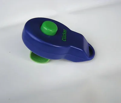Ring Clicker Pet Rattle Training Blue - Shop at LoveMi