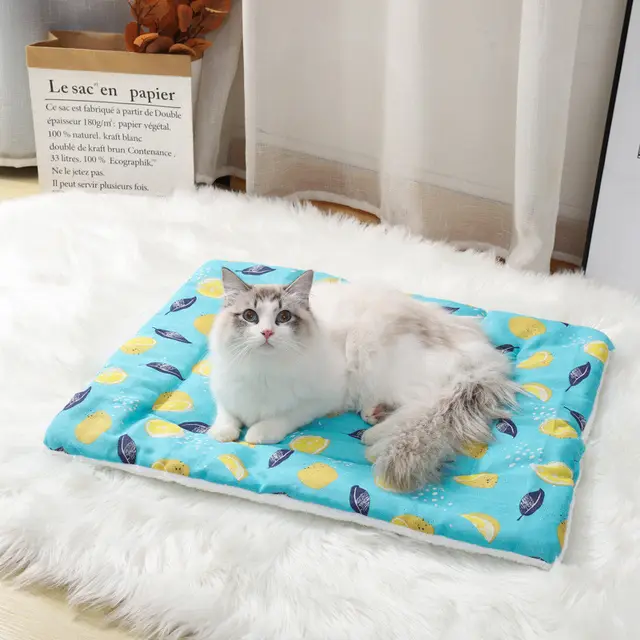 Thick Cotton Linen Lamb Wool Blanket Kennel Dog Mat Pet Supplies - Shop at LoveMi