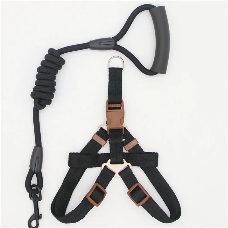 Pet Supplies Simple Dog Leash - Shop at LoveMi