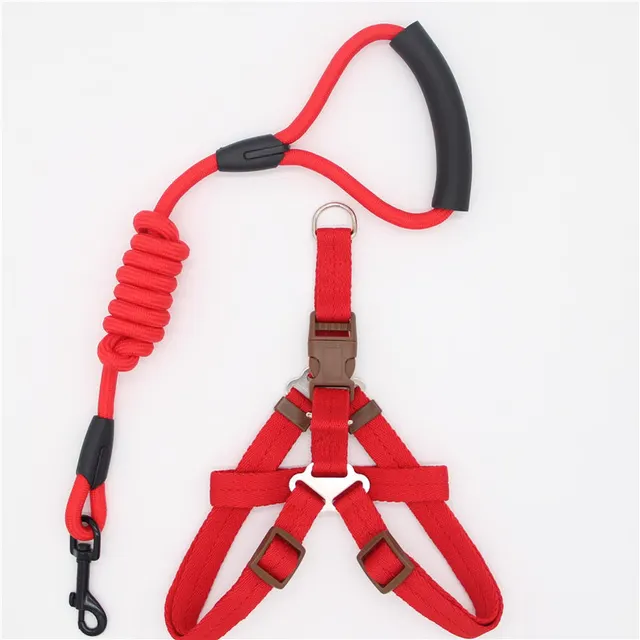 Pet Supplies Simple Dog Leash B - Shop at LoveMi