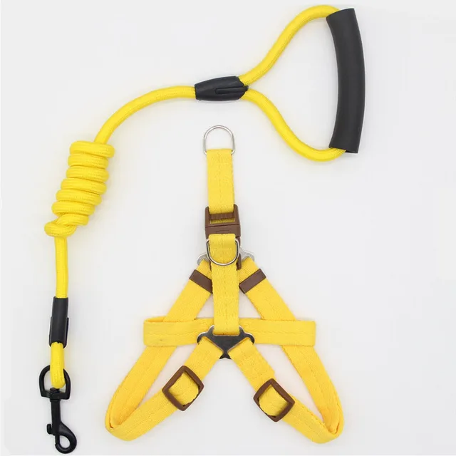 Pet Supplies Simple Dog Leash - Shop at LoveMi