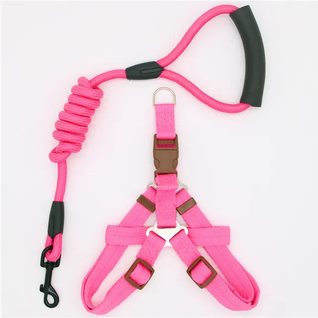 Pet Supplies Simple Dog Leash G - Shop at LoveMi