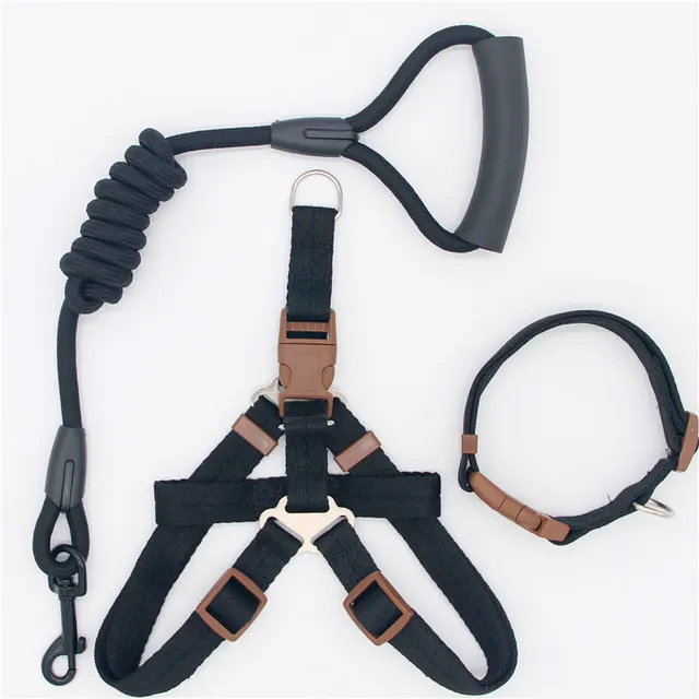 Pet Supplies Simple Dog Leash H - Shop at LoveMi
