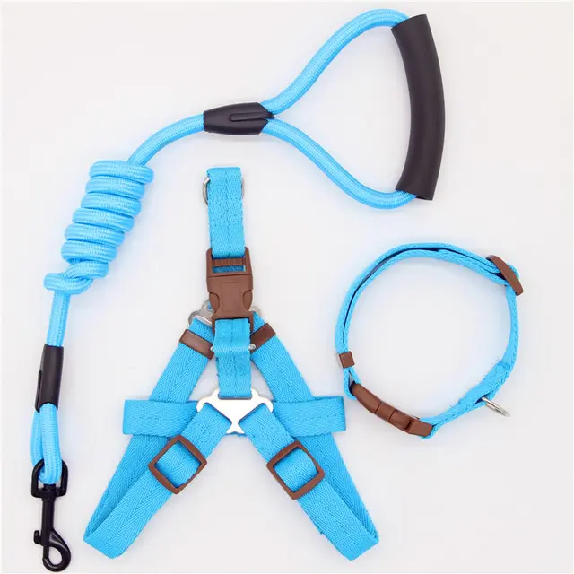 Pet Supplies Simple Dog Leash L - Shop at LoveMi