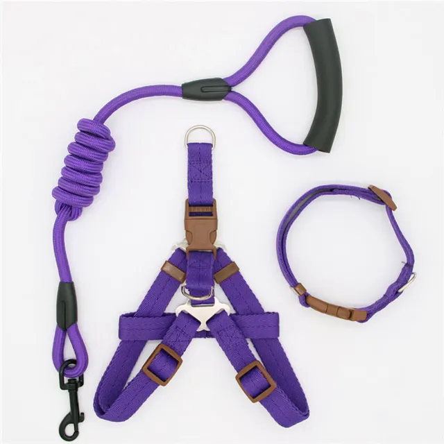 Pet Supplies Simple Dog Leash N - Shop at LoveMi