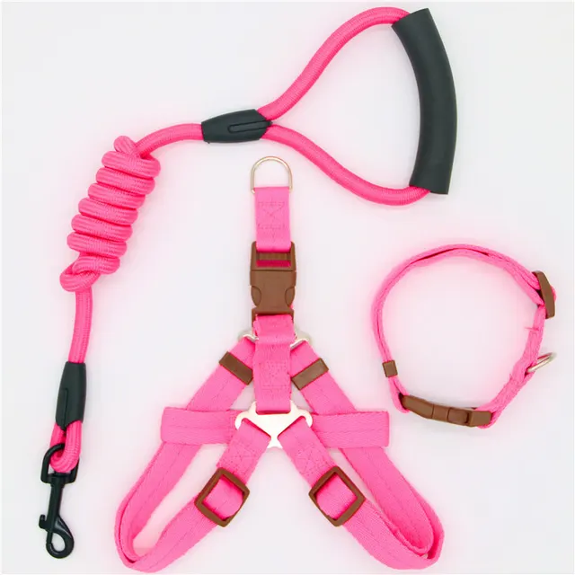 Pet Supplies Simple Dog Leash O - Shop at LoveMi