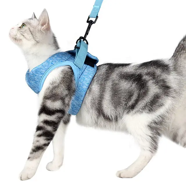 Chest Harness Cat Leash Vest Blue - Shop at LoveMi