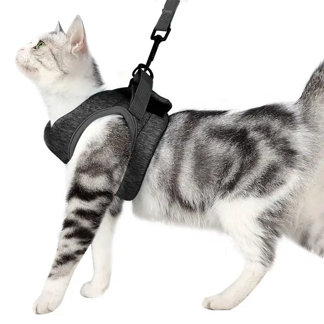 Chest Harness Cat Leash Vest Grey - Shop at LoveMi