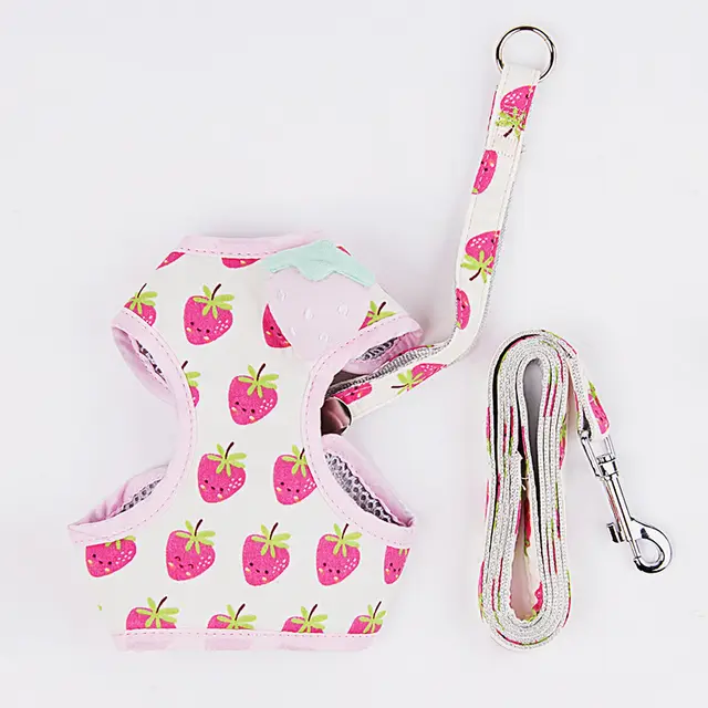 Cat Traction Rope Cute Fruit Anti Break Away Cat Walking Cat Walking Rope Strawberry - Shop at LoveMi
